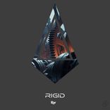Artwork voor "Rigid"