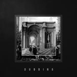 Artwork for "Dubbing"