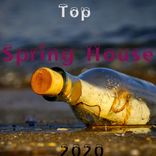 Artwork for "Top Spring House 2020"
