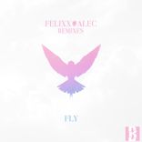 Portada para "Fly (Remixes)"