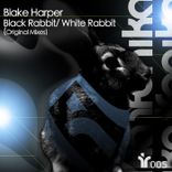 Artwork for "Black Rabbit / White Rabbit"