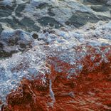 Artwork for "Ameniia Various Artists Series 002"