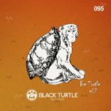 Artwork for "Be Turtle Vol.2"