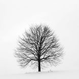 Artwork voor ".Back From The Silence"