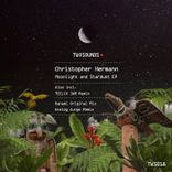 Artwork voor "Moonlight and Stardust"