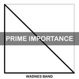 Artwork for "Prime Importance"