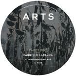 Interdimensional Bug