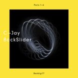Artwork für "BackSlider"
