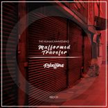 Artwork voor "Malformed Traveler"