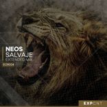 Artwork for "Salvaje (Extended Mix)"