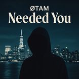 Artwork for "Needed You"