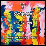 Portada para "Spring VA"