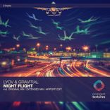 Artwork for "Night Flight"