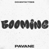 Portada para "Booming"