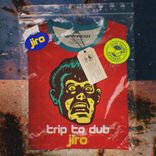 Artwork for "Trip To Dub"