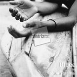 Artwork voor "VIbee"