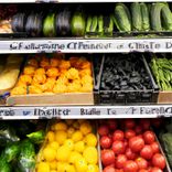 Artwork voor "Netto 4"