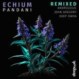 Artwork for "Echium Remixed"