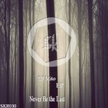 Artwork for "Never Be the Last"