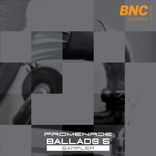 Artwork for "Troubles"