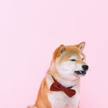 Portada para "Simp Yeeter"