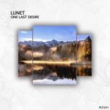 Artwork for "One Last Desire"