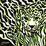 Artwork voor "Jaguar"
