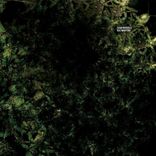 Artwork for "DEA/Kraftone"