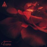 Portada para "Auroom"