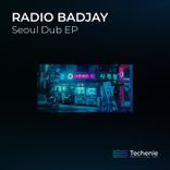 Artwork for "Seoul Dub"