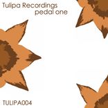 Artwork for "Pedal One"