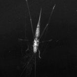 Things Are Getting Better