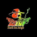 Skank Ina Jungle