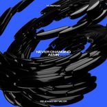 Portada para "Never Changing"