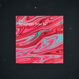 Artwork for "Spaghetti Soul"