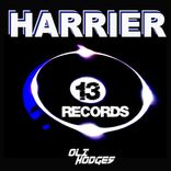 Artwork for "Harrier"