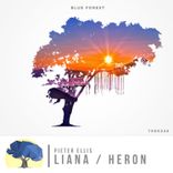 Artwork for "Liana / Heron"