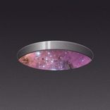 Artwork voor "Kingdom"