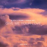 Artwork voor "Give Me Your Love"