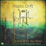 Portada para "Calm After the Storm"
