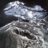 Artwork for "Vuelo del Chucao"