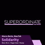 Artwork for "Solidarity ( the Remixes )"