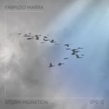 Artwork für "Storm Migration"
