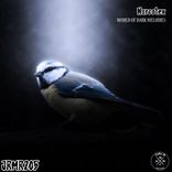 Artwork for "World Of Dark Melodies"