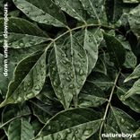 Artwork for "Down Under Downpours: Australian Outback"