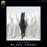 Artwork für "BLACK HORSE"