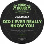 Did I Ever Really Know You