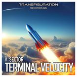 Artwork für "Terminal Velocity"