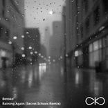Artwork for "Raining Again (Secret Echoes Remix)"