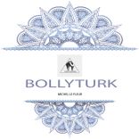 Portada para "Bollyturk"